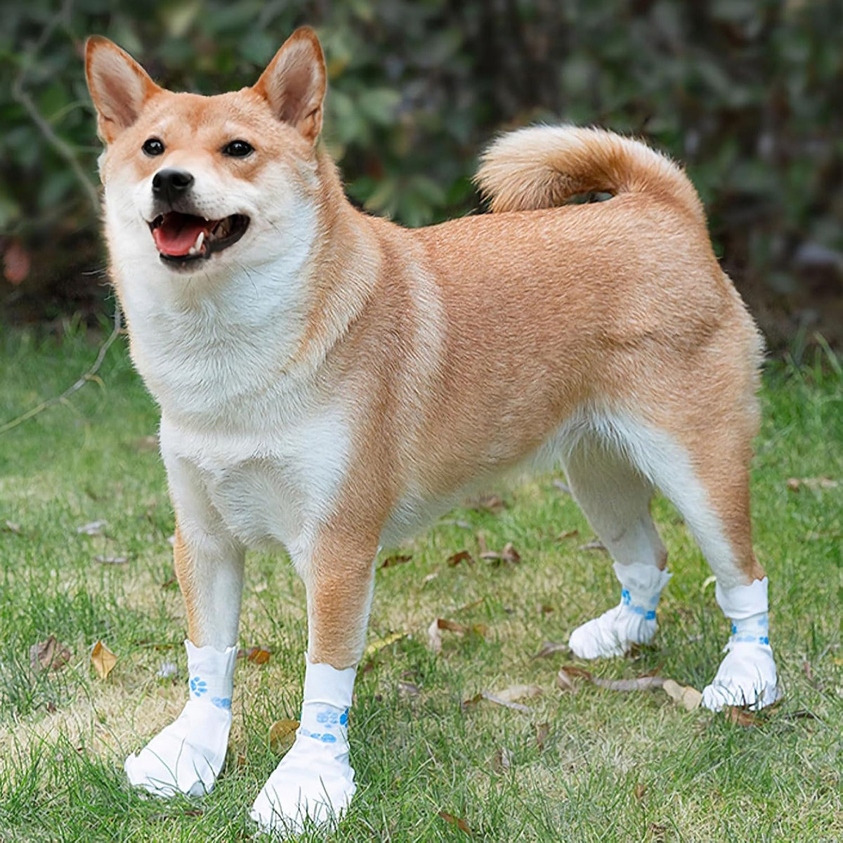 40Pcs Disposable Dog Boots for Paw Protection, Pet Booties Waterproof and Breathable with Adjustable Bandage, Pet Feet Covers, Paw Protectors for Outdoor and Indoor Walking, M