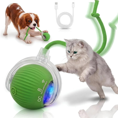 Smart Rolling Cat Toy – Rechargeable Motion Ball for Indoor Cats