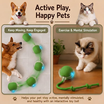 Smart Rolling Cat Toy – Rechargeable Motion Ball for Indoor Cats