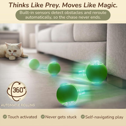 Smart Rolling Cat Toy – Rechargeable Motion Ball for Indoor Cats