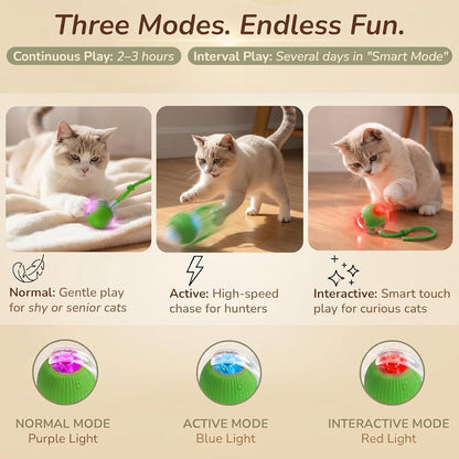 Smart Rolling Cat Toy – Rechargeable Motion Ball for Indoor Cats